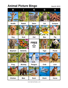 Animal Picture Bingo Card #0012. Free printable animal picture bingo card for kids with animal pictures and words, perfect for classroom games, parties, preschool, and elementary school activities.