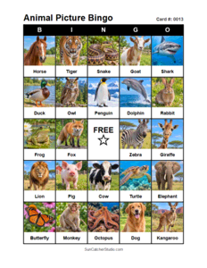 Animal Picture Bingo Card #0013. Free printable animal picture bingo card for kids with animal pictures and words, perfect for classroom games, parties, preschool, and elementary school activities.