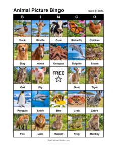 Animal Picture Bingo Card #0014. Free printable animal picture bingo card for kids with animal pictures and words, perfect for classroom games, parties, preschool, and elementary school activities.
