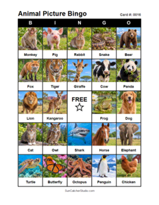 Animal Picture Bingo Card #0016. Free printable animal picture bingo card for kids with animal pictures and words, perfect for classroom games, parties, preschool, and elementary school activities.