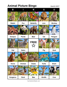 Animal Picture Bingo Card #0017. Free printable animal picture bingo card for kids with animal pictures and words, perfect for classroom games, parties, preschool, and elementary school activities.