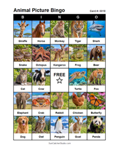 Animal Picture Bingo Card #0018. Free printable animal picture bingo card for kids with animal pictures and words, perfect for classroom games, parties, preschool, and elementary school activities.