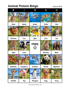 Animal Picture Bingo Card #0019. Free printable animal picture bingo card for kids with animal pictures and words, perfect for classroom games, parties, preschool, and elementary school activities.