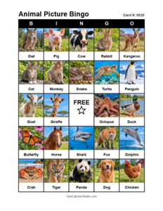 Animal Picture Bingo Card #0020. Free printable animal picture bingo card for kids with animal pictures and words, perfect for classroom games, parties, preschool, and elementary school activities.