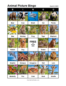 Animal Picture Bingo Card #0021. Free printable animal picture bingo card for kids with animal pictures and words, perfect for classroom games, parties, preschool, and elementary school activities.
