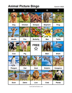 Animal Picture Bingo Card #0022. Free printable animal picture bingo card for kids with animal pictures and words, perfect for classroom games, parties, preschool, and elementary school activities.