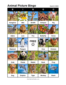 Animal Picture Bingo Card #0023. Free printable animal picture bingo card for kids with animal pictures and words, perfect for classroom games, parties, preschool, and elementary school activities.