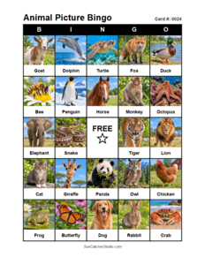 Animal Picture Bingo Card #0024. Free printable animal picture bingo card for kids with animal pictures and words, perfect for classroom games, parties, preschool, and elementary school activities.