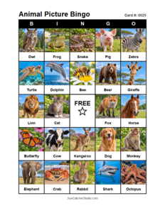 Animal Picture Bingo Card #0025. Free printable animal picture bingo card for kids with animal pictures and words, perfect for classroom games, parties, preschool, and elementary school activities.