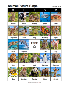 Animal Picture Bingo Card #0026. Free printable animal picture bingo card for kids with animal pictures and words, perfect for classroom games, parties, preschool, and elementary school activities.