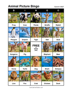 Animal Picture Bingo Card #0027. Free printable animal picture bingo card for kids with animal pictures and words, perfect for classroom games, parties, preschool, and elementary school activities.
