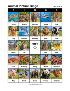 Animal Picture Bingo Card #0028. Free printable animal picture bingo card for kids with animal pictures and words, perfect for classroom games, parties, preschool, and elementary school activities.