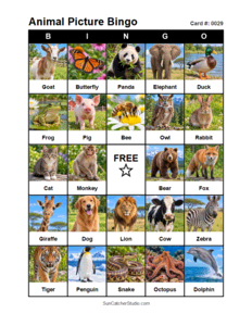 Animal Picture Bingo Card #0029. Free printable animal picture bingo card for kids with animal pictures and words, perfect for classroom games, parties, preschool, and elementary school activities.