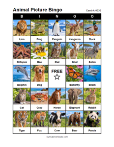 Animal Picture Bingo Card #0030. Free printable animal picture bingo card for kids with animal pictures and words, perfect for classroom games, parties, preschool, and elementary school activities.