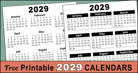 Free Printable 2029 Yearly Calendar