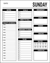 Daily planner template. Free printable daily planner template, pdf, notes, task list, organized, priorities, schedule, errands, print, download, online, simple, todo, for work, for school.