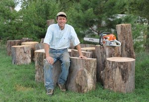 Store logs upright to promote spalting.